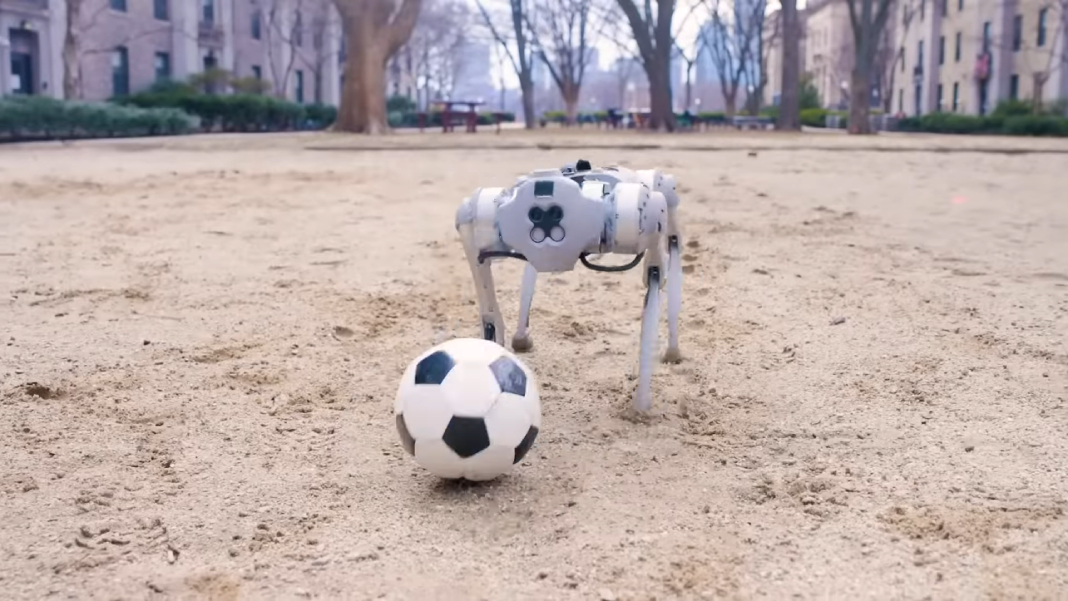 Dribblebot Soccer Robot